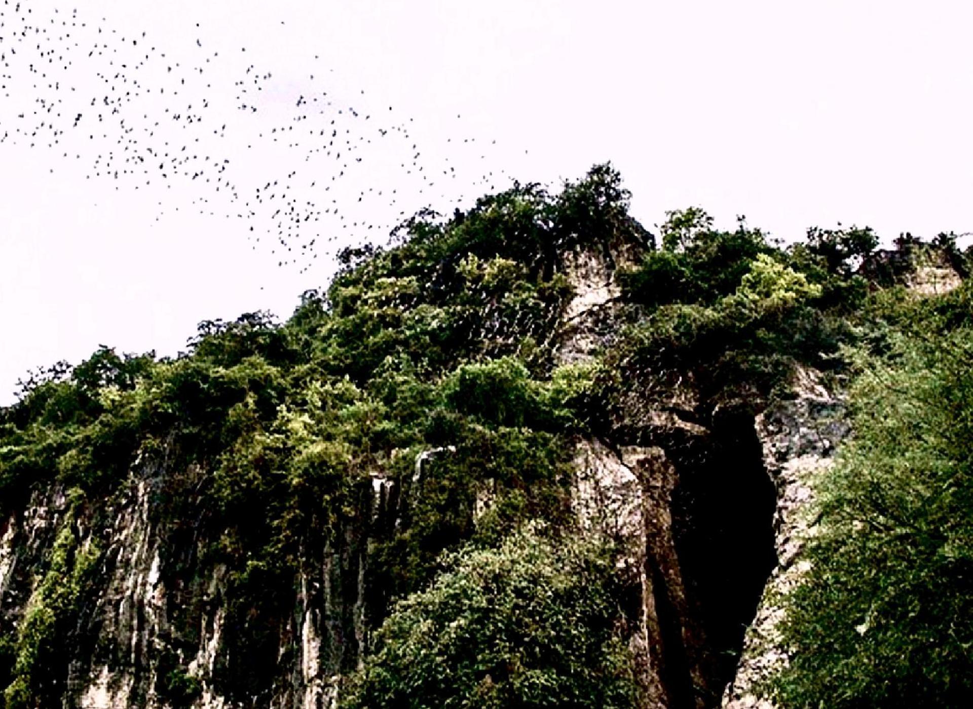 Family Batcave Homestay Μπατταμπάνγκ Εξωτερικό φωτογραφία